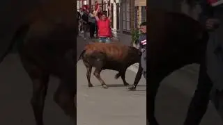 😱 После того, что он сделал с быком, он потерял дар речи!