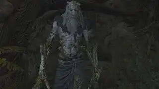 The Witcher 3 Blood and Wine (Death March) Grottore Boss fight