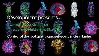Development presents...Gwendolyn K. Kirschner
