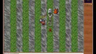 Old tibia!