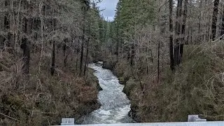 Molalla River mp13 