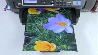 Epson WF-2650: тест на скорость печати фото А4