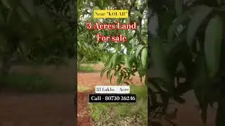 3 Acres Of Farmland For Sale Near Kolar #farmlandforsale #landforsale #agriculturelandforsale
