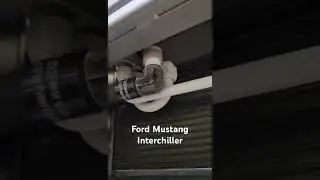 Ford Mustang Interchiller
