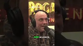 🦌 Moose Fight in My NEIGHBORHOOD?! 🤯