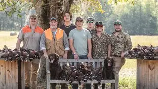 BOYKIN MAYHEM ON A SOUTH ALABAMA PHEASANT SHOOT (OVER 200 BIRDS)