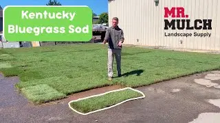 Kentucky Bluegrass Sod Roll - Mr. Mulch Landscape Supply