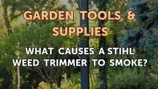 What Causes a Stihl Weed Trimmer to Smoke?