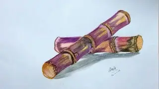 Sugarcane Drawing Using Colour Pencils ( How to Draw A 3D Drawing )