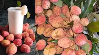 World's most easiest recipe | Tastiest Lychee drink | summer special Lychee lassi | Best & Simple 