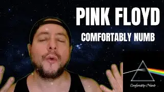 FIRST TIME HEARING Pink Floyd- 