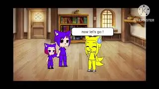 Lill wolf , female tails and  sivistar are going to amusement park  