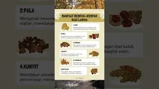 Manfaat Rempah Rempah untuk Kesehatan Lansia