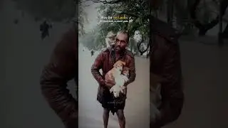 Sri Lanka Floods 2025 | Cyclone Ditwah | Pray for Sri Lanka