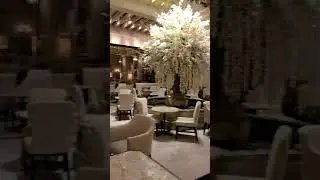 The Drake hotel in #Chicago. All I need to do is find the groom.