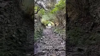 Sentier Strada Vecchia depuis le Port de Bonifacio en Corse pour aller au Fazzio ou Catena
