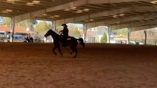 Eline @ El Dorado Country Fairgrounds