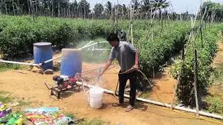 live Demo HONDA GX80 HTP Sprayer