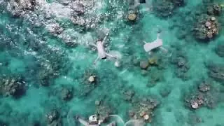 🌊 Underwater Paradise 4K &ndash; Beautiful Aquarium Fish with Relaxing Music for Sleep & Stress Relief