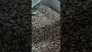Torrefa&ccedil;&atilde;o de Caf&eacute; ☕️
