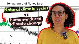 How does understanding natural climate cycles help restoration?