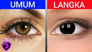 1% DI DUNIA, 5 WARNA MATA DAN KEPRIBADIANYA, #Jawara5