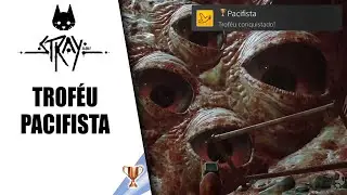 STRAY - TROF&Eacute;U PACIFISTA (DICAS)