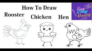 How To  Draw Chicken, Hen And Rooster Step by Step