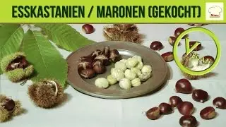 Esskastanien / Maronen (gekocht)