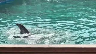 Ocean World Adventure Park - Amber Cove - 1/21/2026