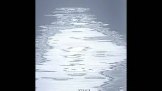 One Piece - Haki or Devil Fruit - Edit/Manga