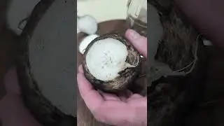 🧄🍯Чёрная редька с мёдом &mdash; народное средство, о котором почти не говорят 😱🍯 #lifehacks #рецепты