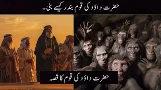 HAZRAT DAUD A S KI QOM BANDAR KESY BANI || SUCHTV STORIES