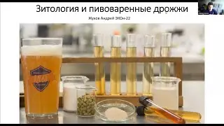 Зитология и пивоваренные дрожжи (9.07.23)