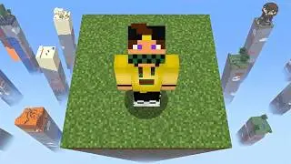 MINECRAFT EN