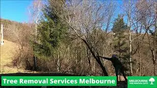 Tree Cutting Services in Narre Warren, Melbourne