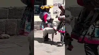 Peru🇵🇪 Trip, 2025 #travel#lifeisbutadream#nature #family#vacation#youtube#video #ytshorts#Machupichu