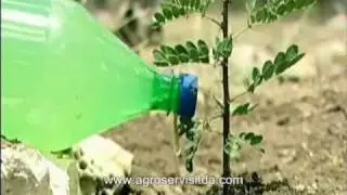 2-c) Cuidados en la Plantación, Fertilización y Riego de Plantas Pequeñas, el Mulching
