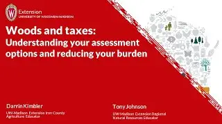 Woods and taxes: Understanding your assessment options and reducing your burden