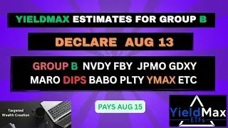 YIELDMAX GROUP B DIVIDEND DECLARTIONS FOR NVDY FBY JPMO GDXY BABO PLTY MARO YMAX YMAG & ALL WEEKLIES