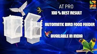 Birds automatic food feeder | Exotic bird food feeder | Automatic bird seed Feeder