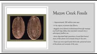 Late paleozoic life and geology