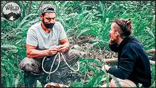 FORAGING FOR WILD KIWI FRUIT | A UNIUQE EXPERIENCE