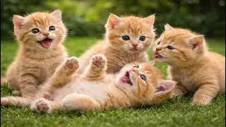 😻🌸 Funny Colorful Kittens Hunting Mice in the Garden | Adorable Cat Video | Cute Cat Video