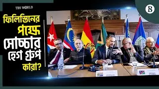 ফিলিস্তিনিদের আশার আলো দেখাচ্ছে হেগ গ্রুপ | Hague Group | Palestine | The Business Standard