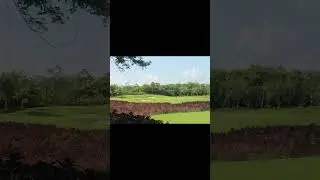 Gran Coyote Golf Review: The Best Course in Playa del Carmen