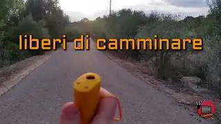 Proteggiti dai cani aggressivi con Dog Repeller ad ultrasuoni!