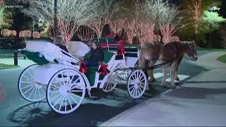 Billy Graham Library lights Christmas tree