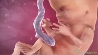 BabyCenter's Pregnancy & Parenting App for Android