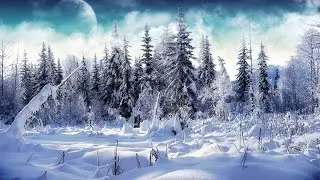 The Classical Jazz Quartet Christmas - Jesu, Joy Of Man's Desiring (J.S. Bach)